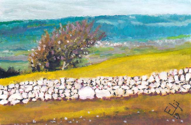 Au Creux-du-Van, mur en pierres sèches. Elji