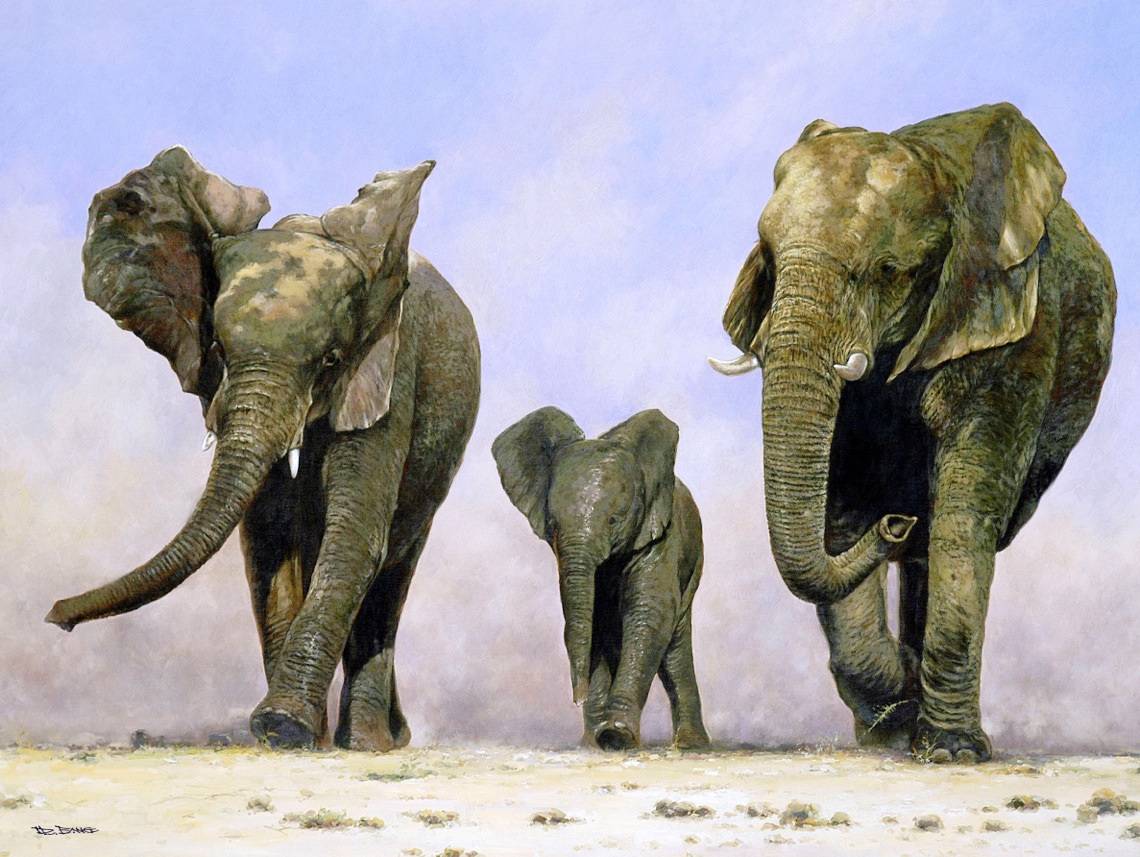 Famille d'éléphants. Bang Dong Lim Bang Dong Lim