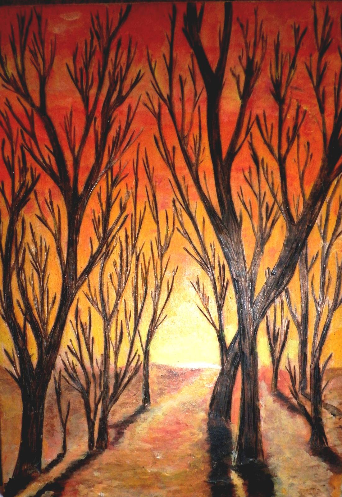 Ciel de feu. 