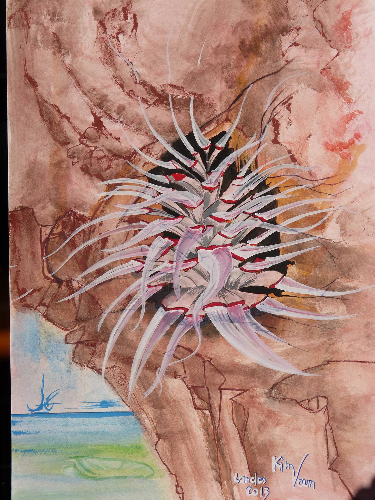 L'Anémone des Landes. 