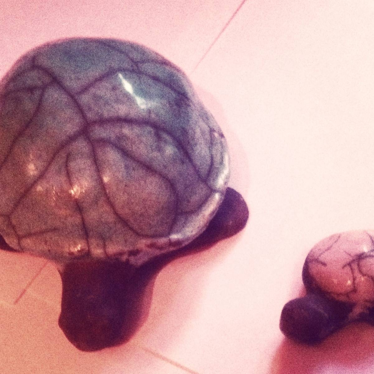 Tortues raku. Alexia Silva