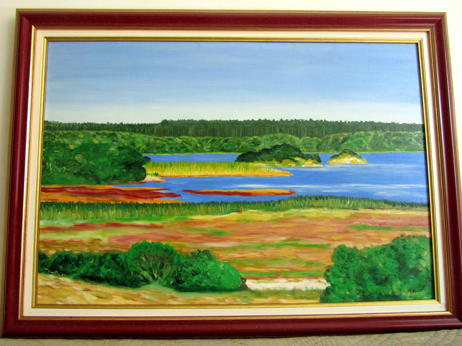 Etang d'Urbino Corse. 