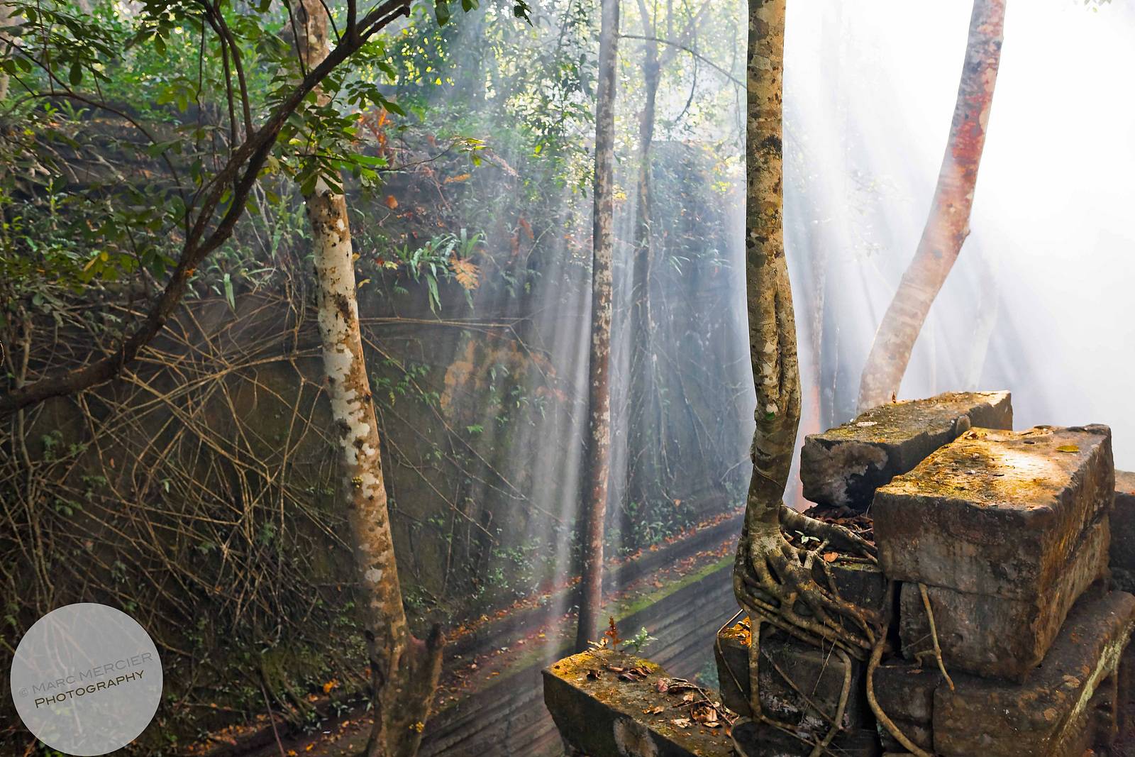 Marc mercier Cambodia 3. Marc Mercier Photography