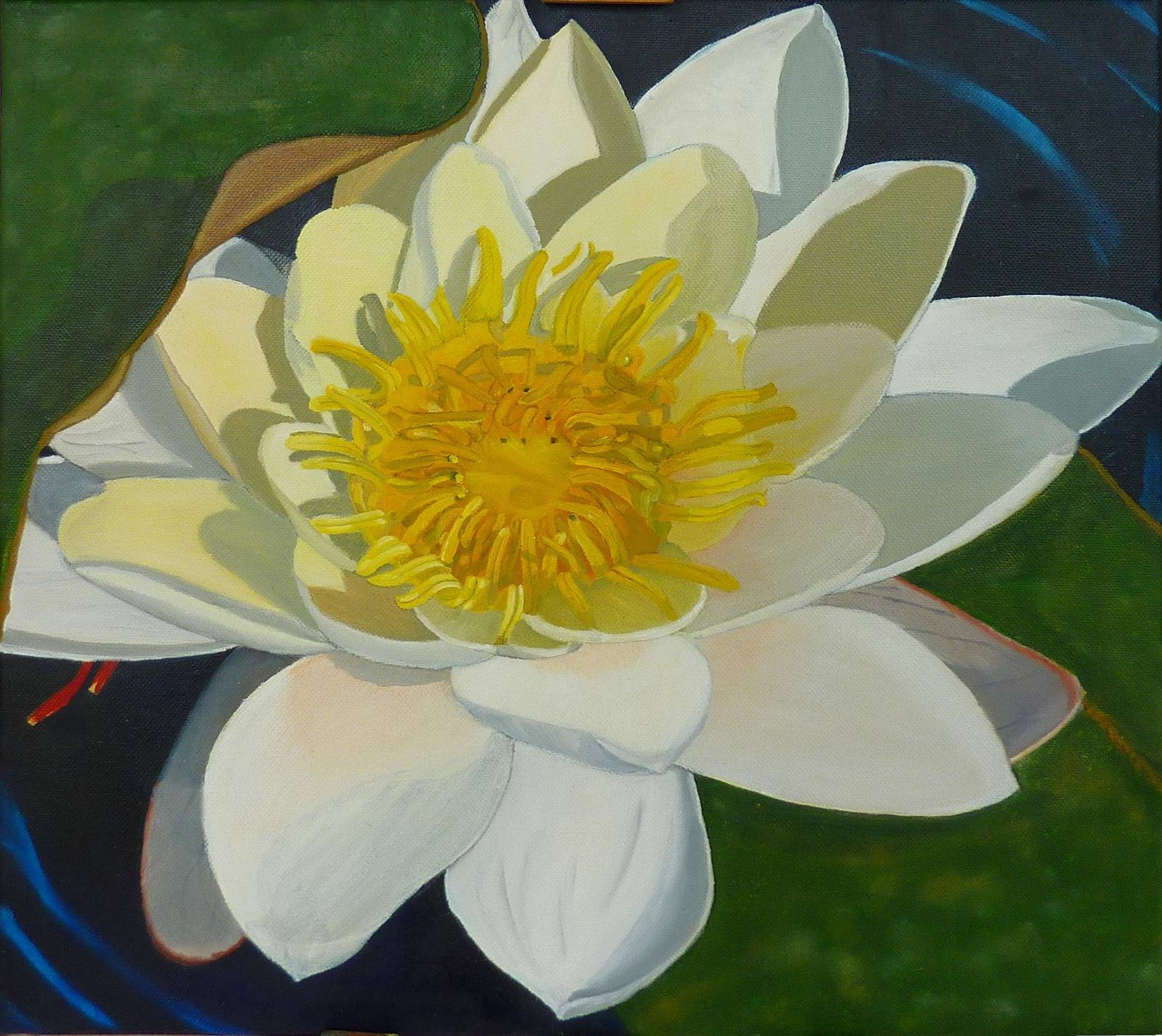 Nénuphar. Lisette Swinnen Lisette