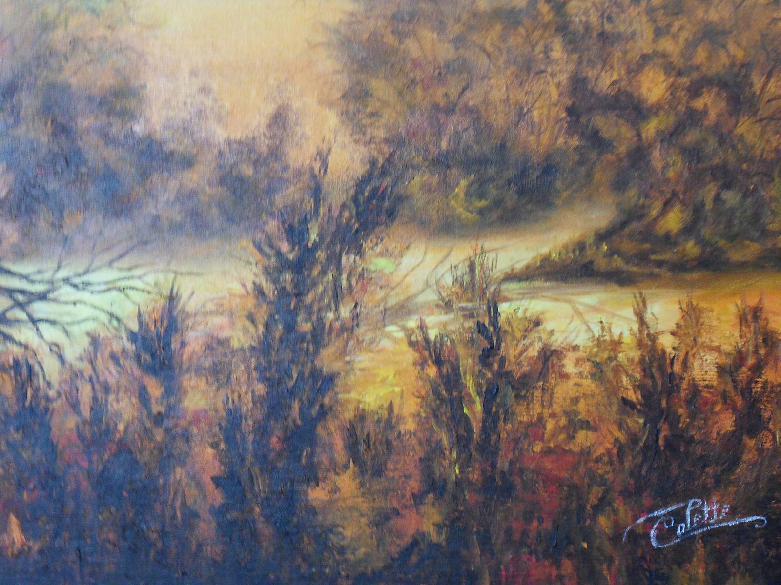 Brume sur «Le Mas de La Barque» près de Villefort Lozère. 