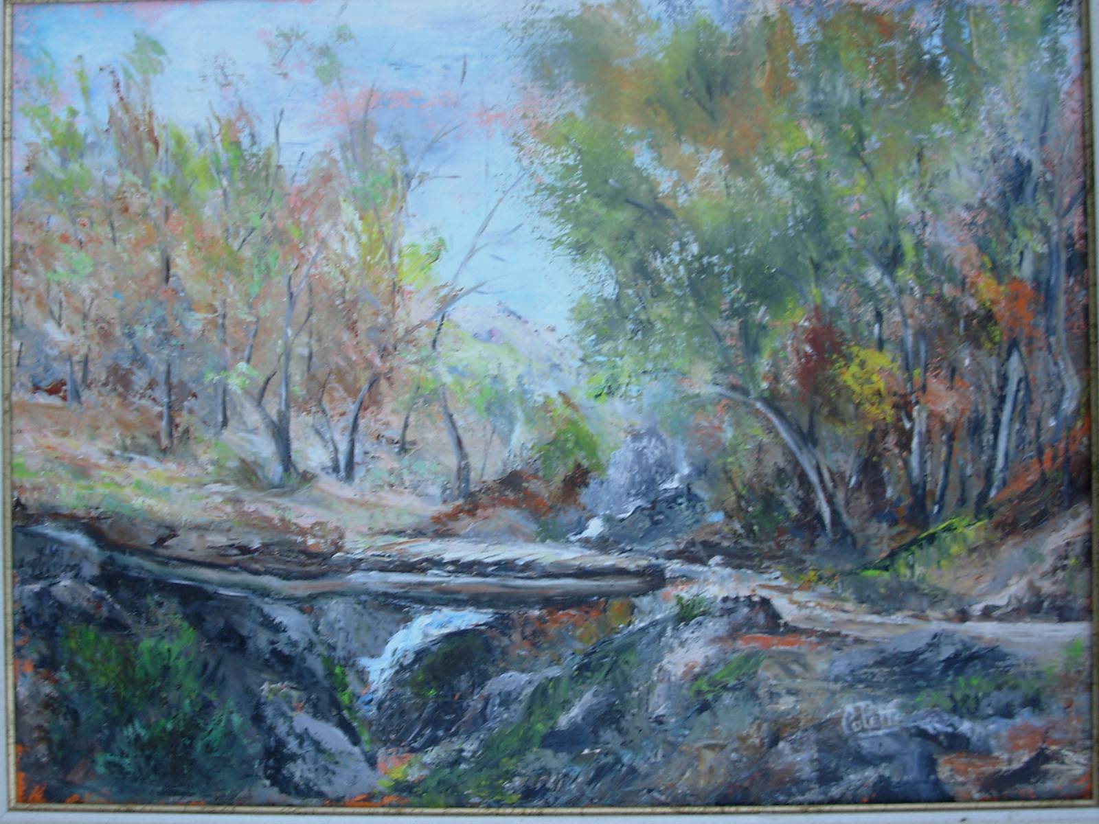 Le Petit Pont de rabeyrals en Lozère près de villefort. Colette Balme «Colette» Colette