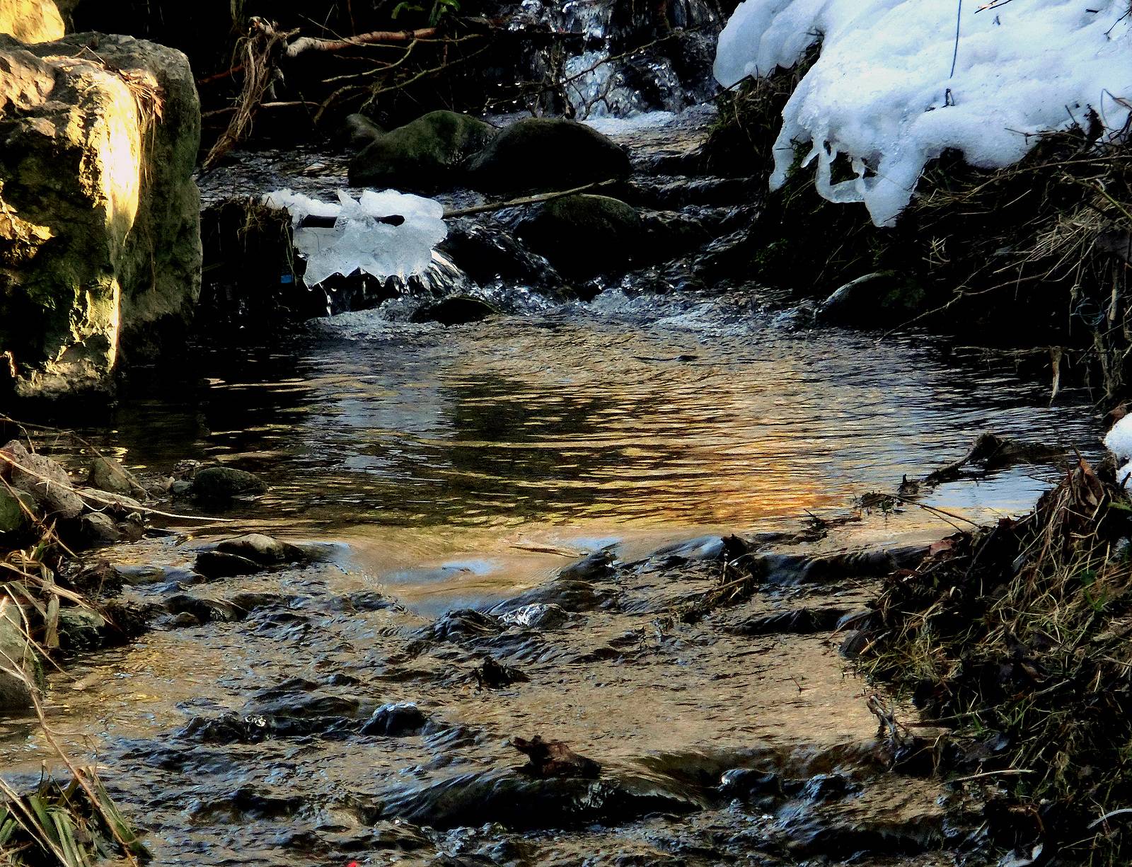 Soleil printanier…. Janeon Janeon Photos