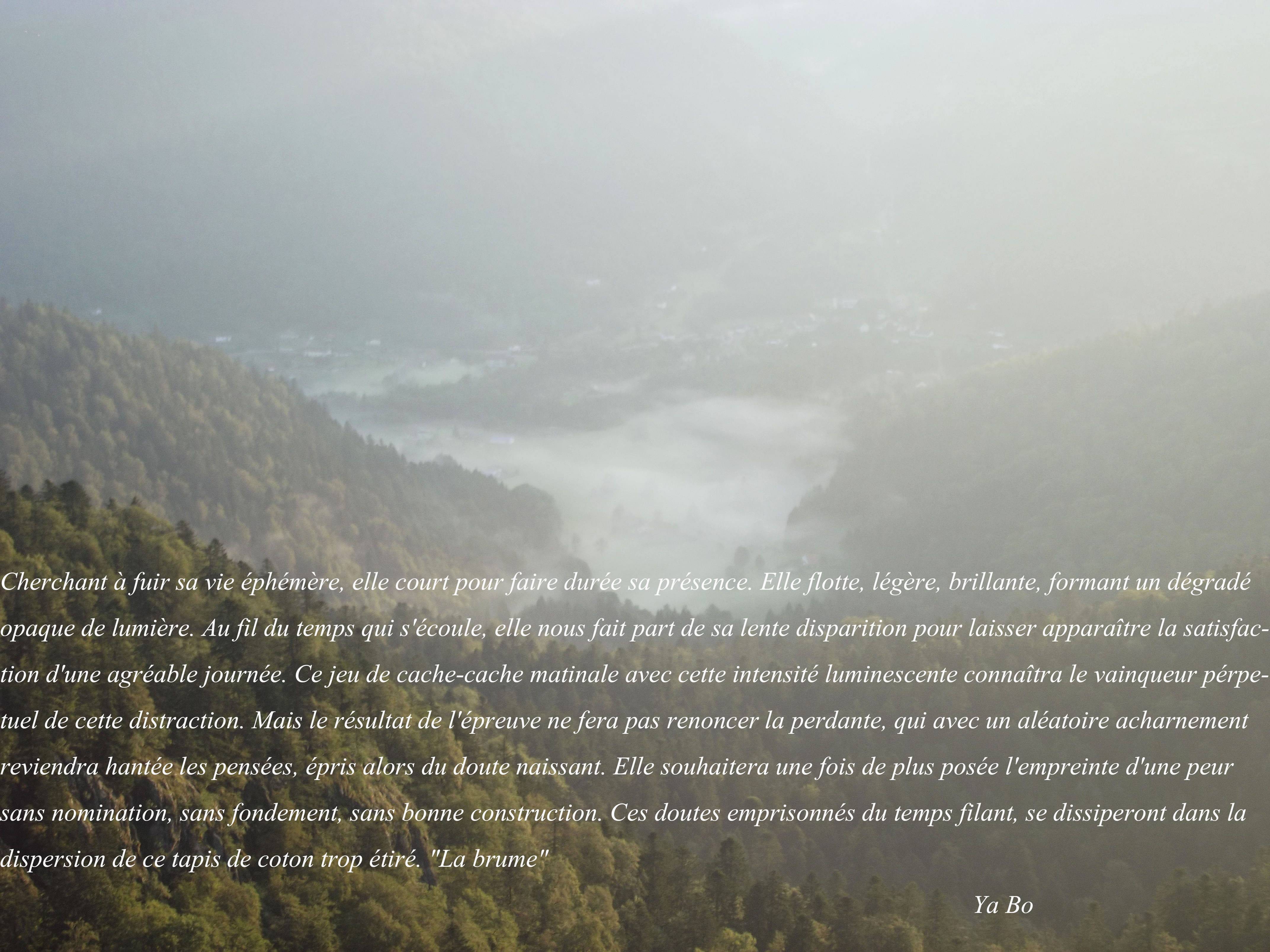 La brume. Yart