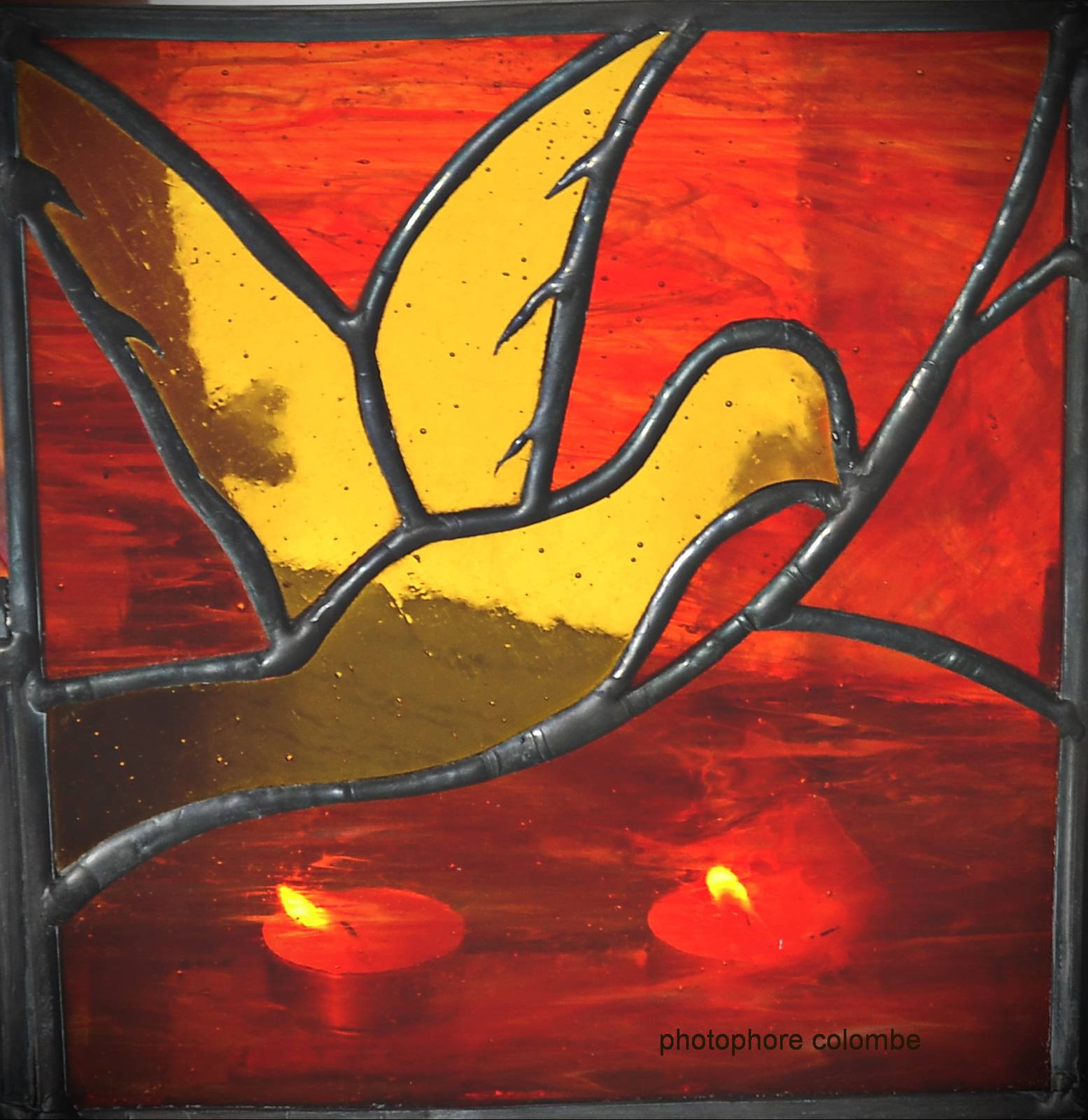 Photophore Colombe2014. Martine Dugue