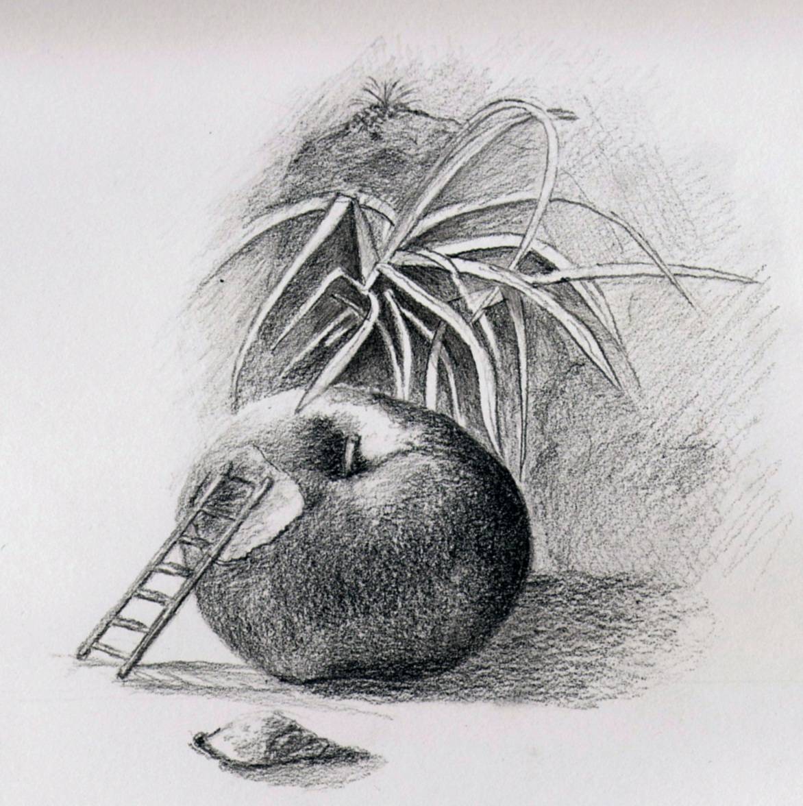 Le morceau de pomme. L'atelier d'alexandra