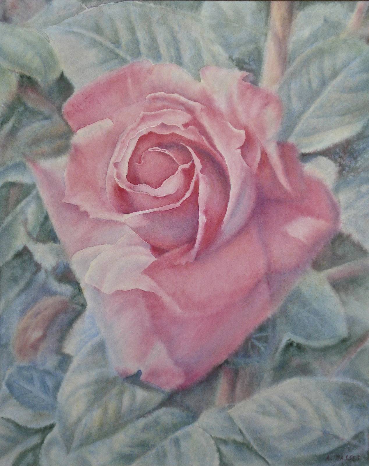 Allons voir si la rose…. Alain Masset Alain Masset