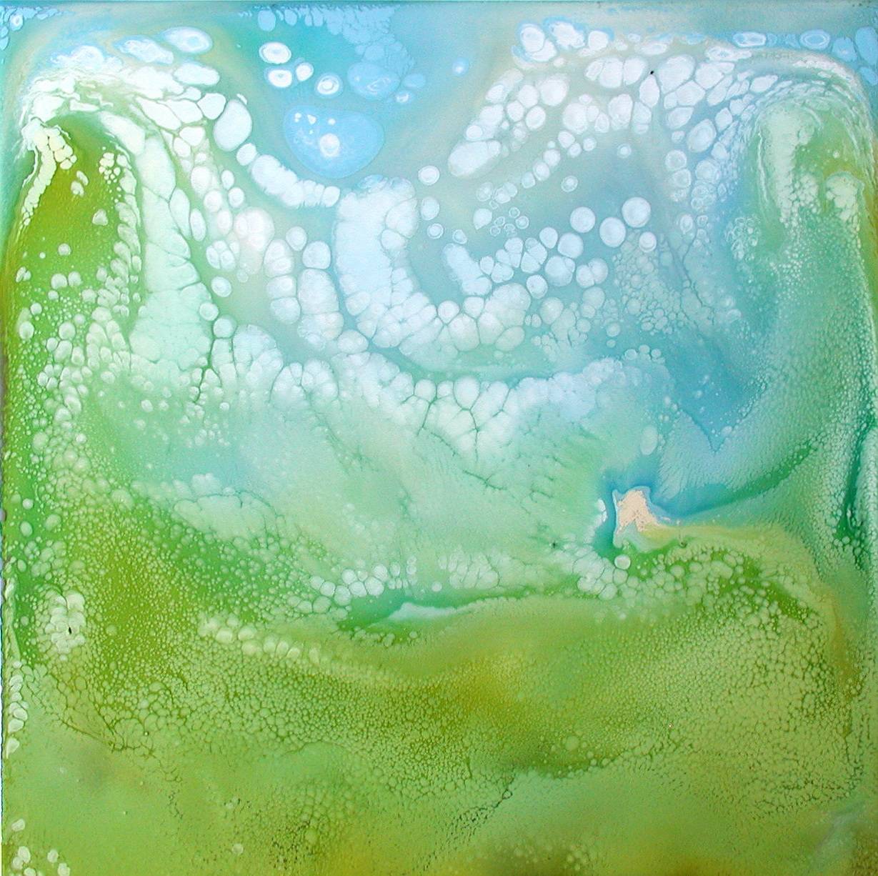 Informe 1645 (40x40). 