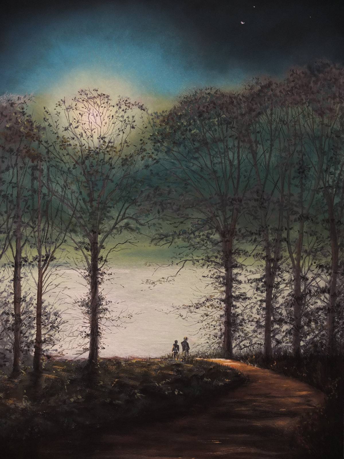Ballade à la lune une nuit d'été en Poitou. Marie-Noëlle Ribardiere
