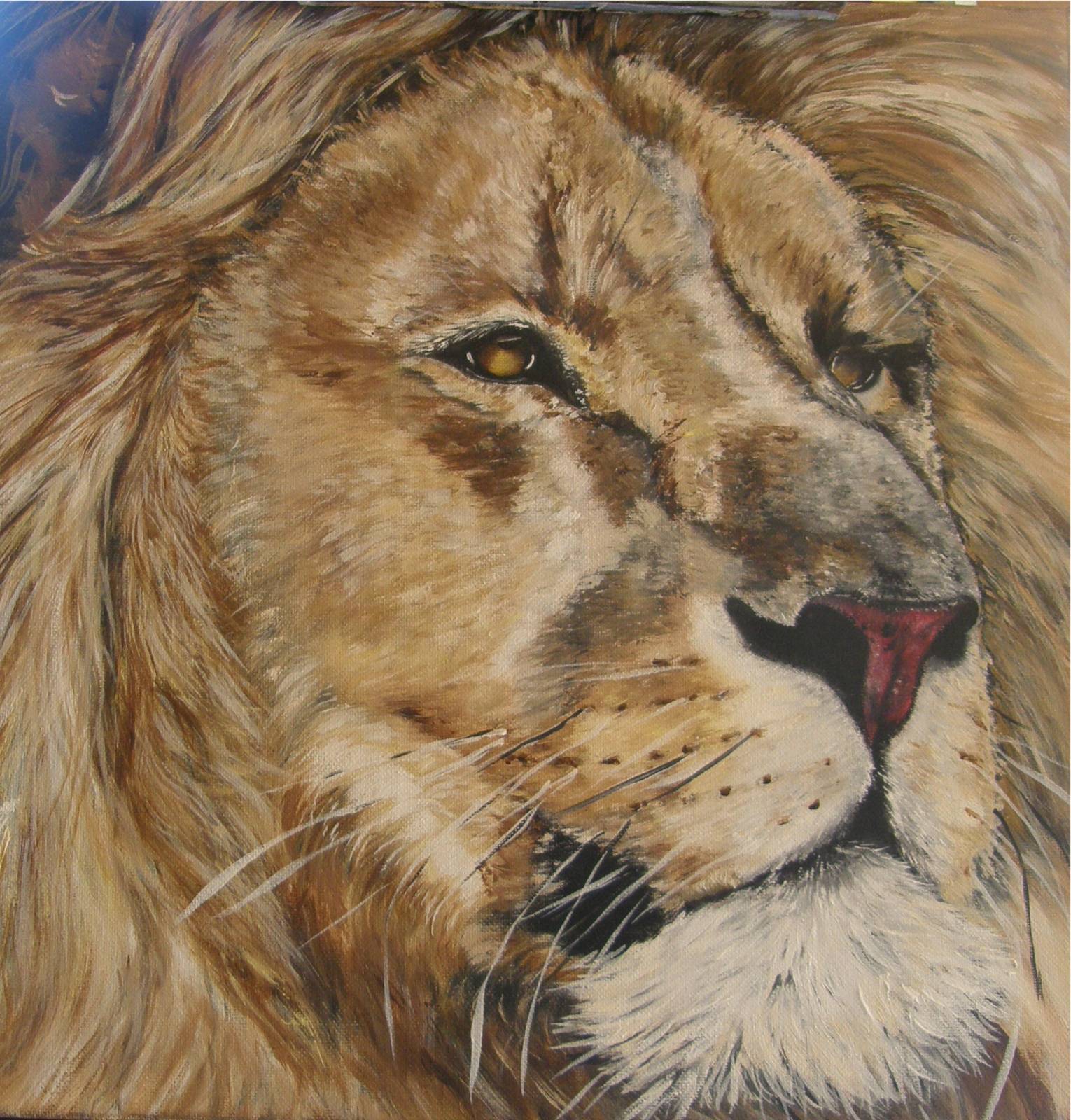 Le lion, force tranquille…. 