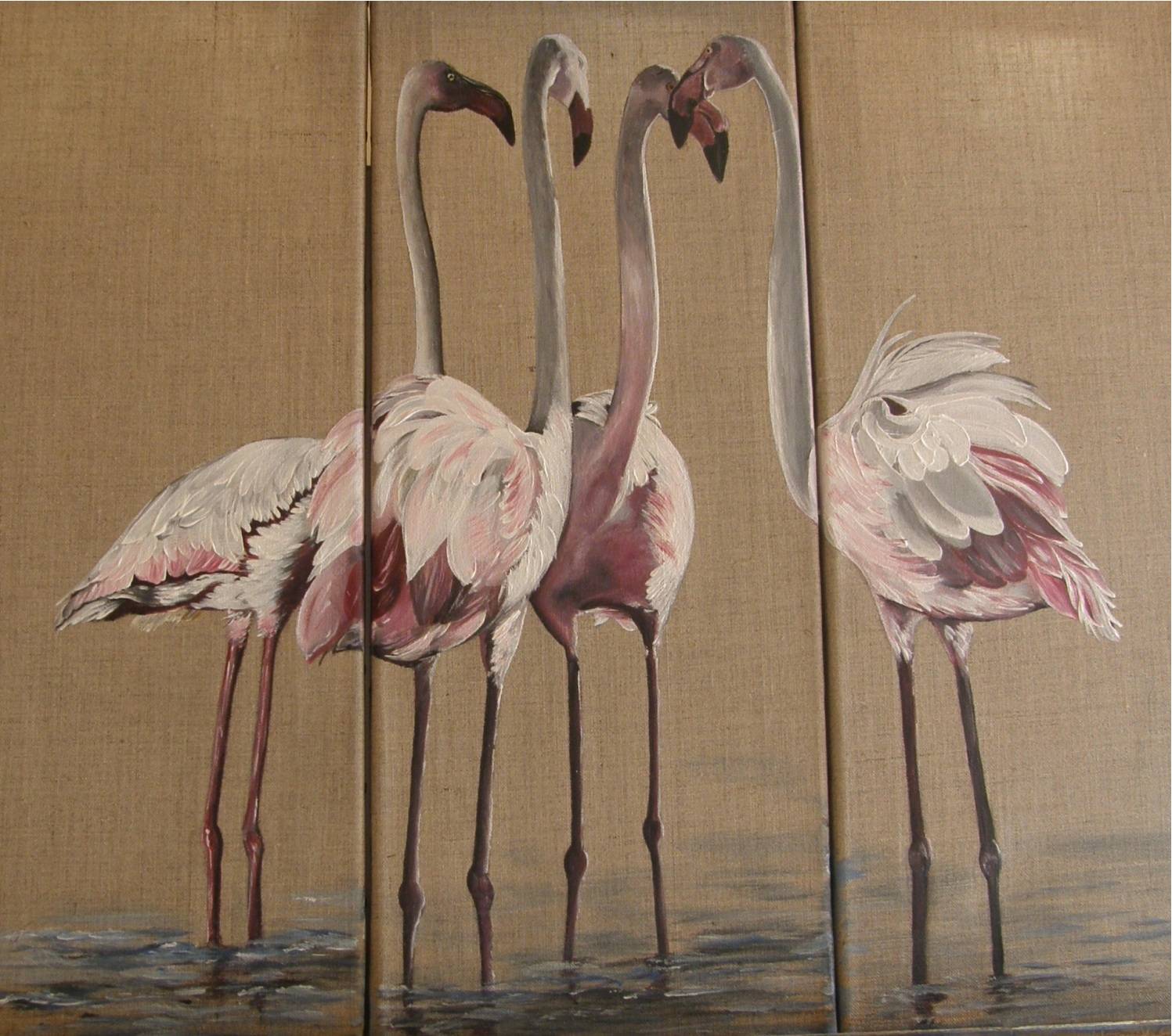 Les flamants roses. 