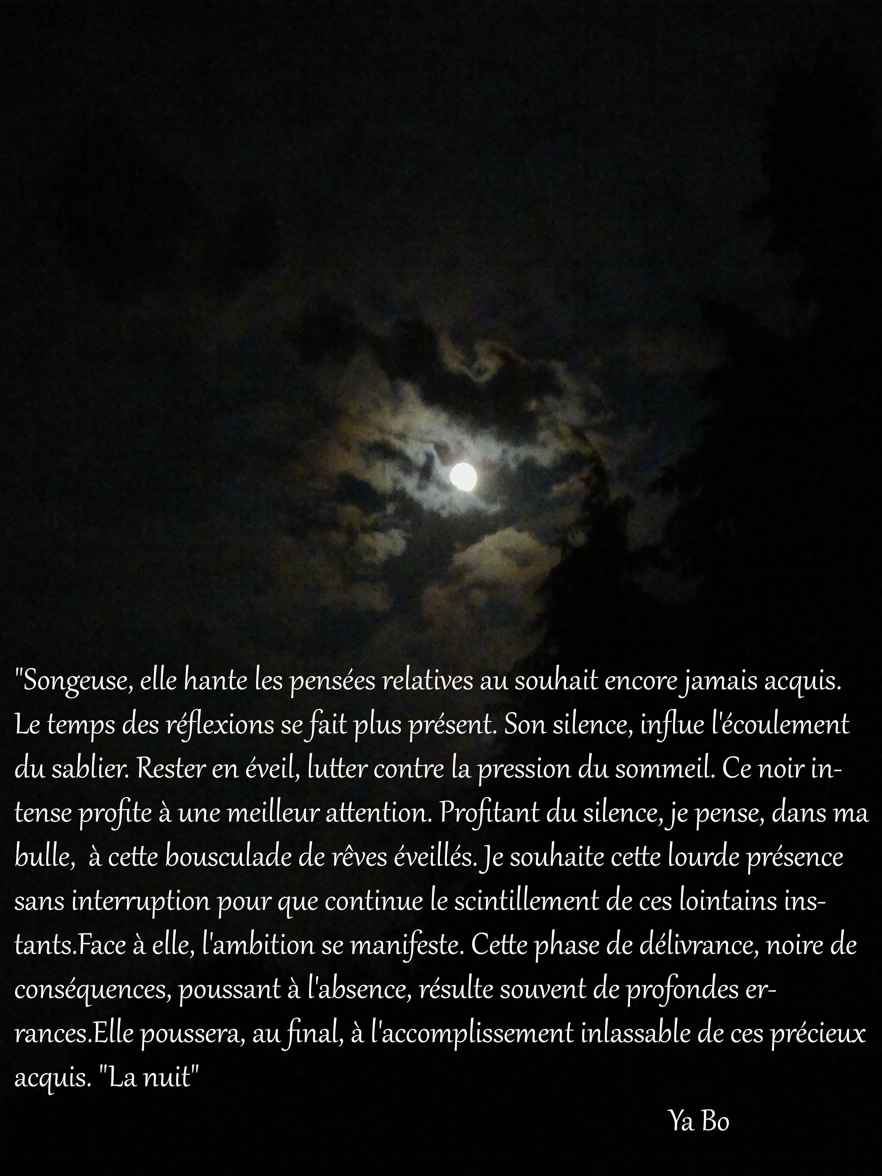 La nuit. Yart