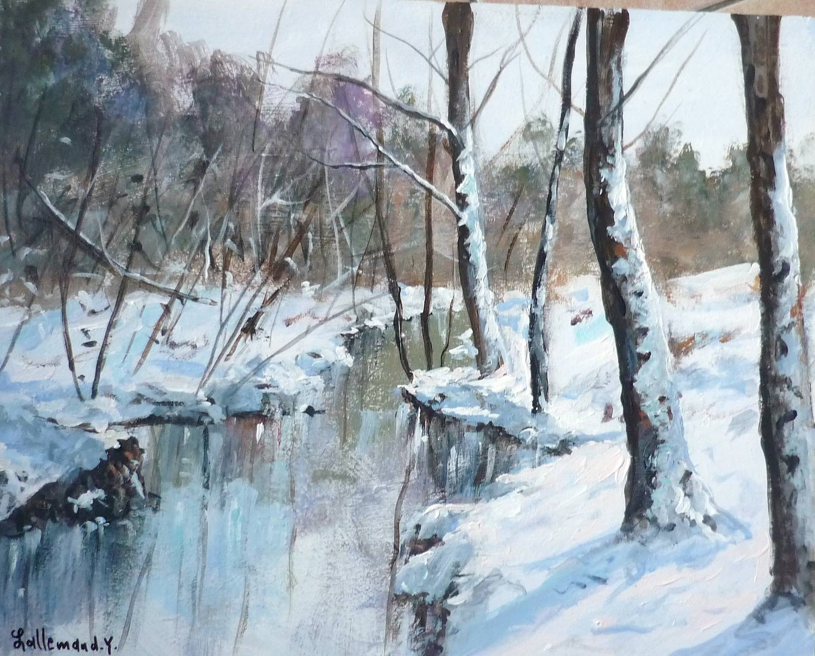 Bois de Lourdes sous la neige. 