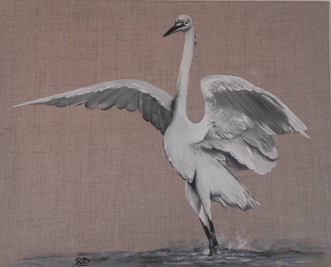 L'aigrette. 