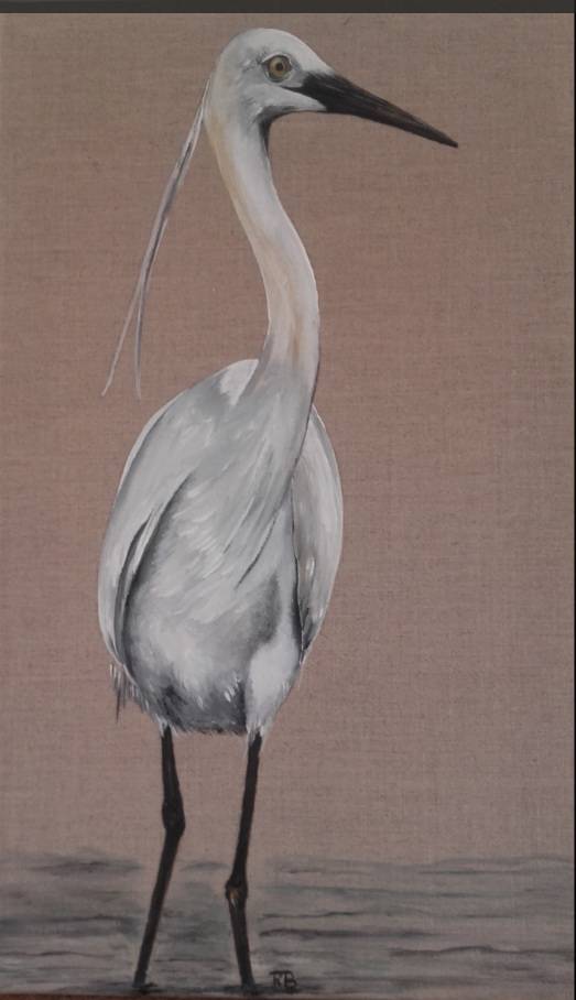 Aigrette. 