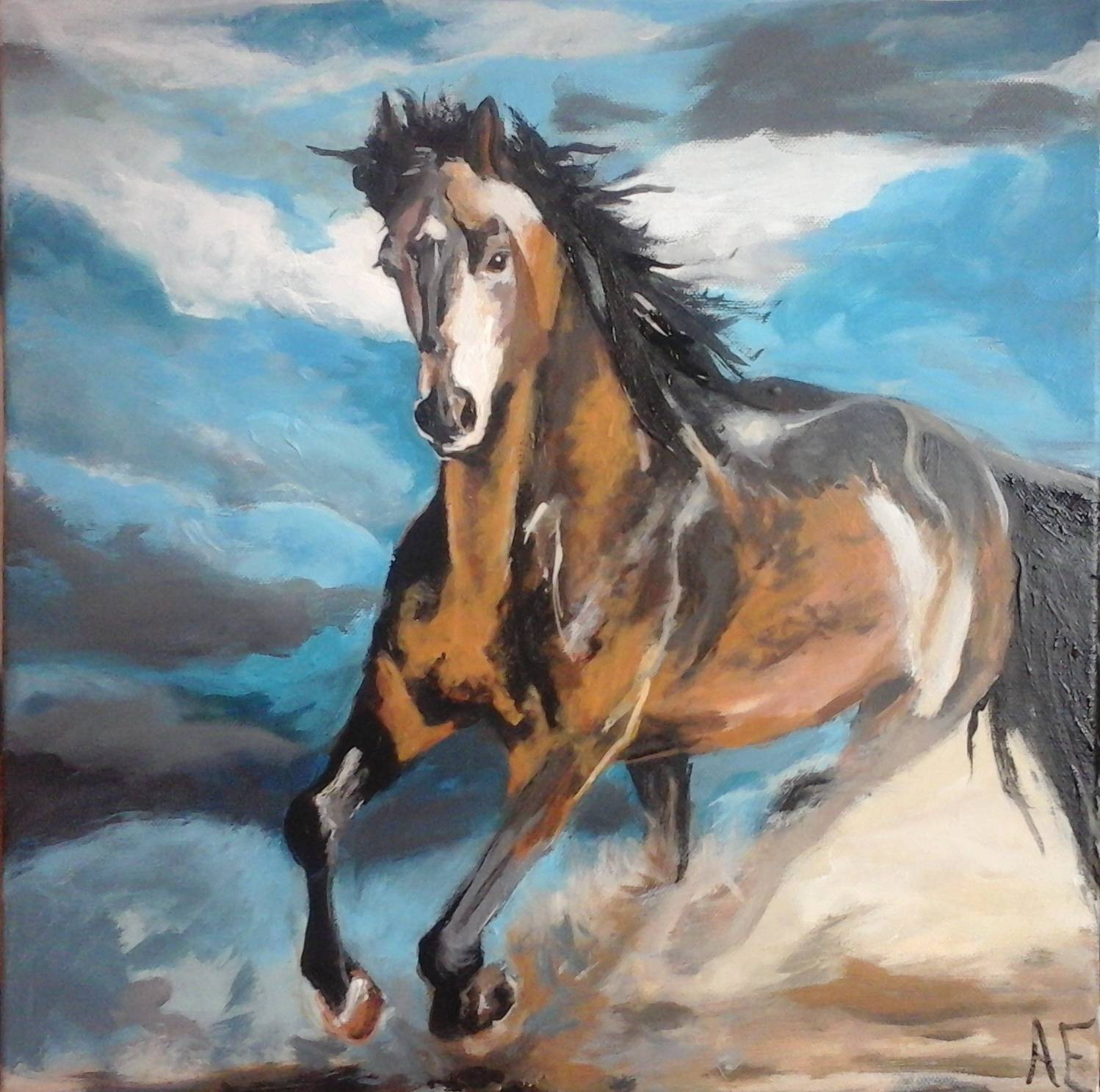 Cheval au galop. 