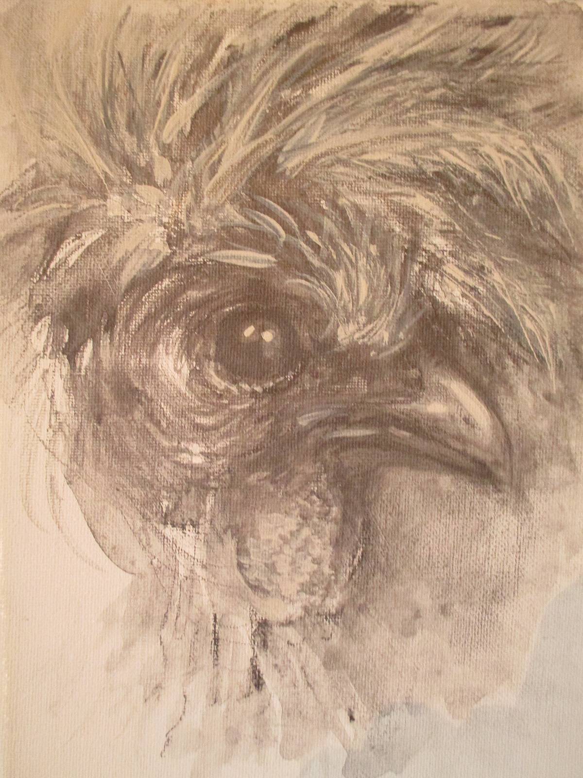 Tête de plumes. 