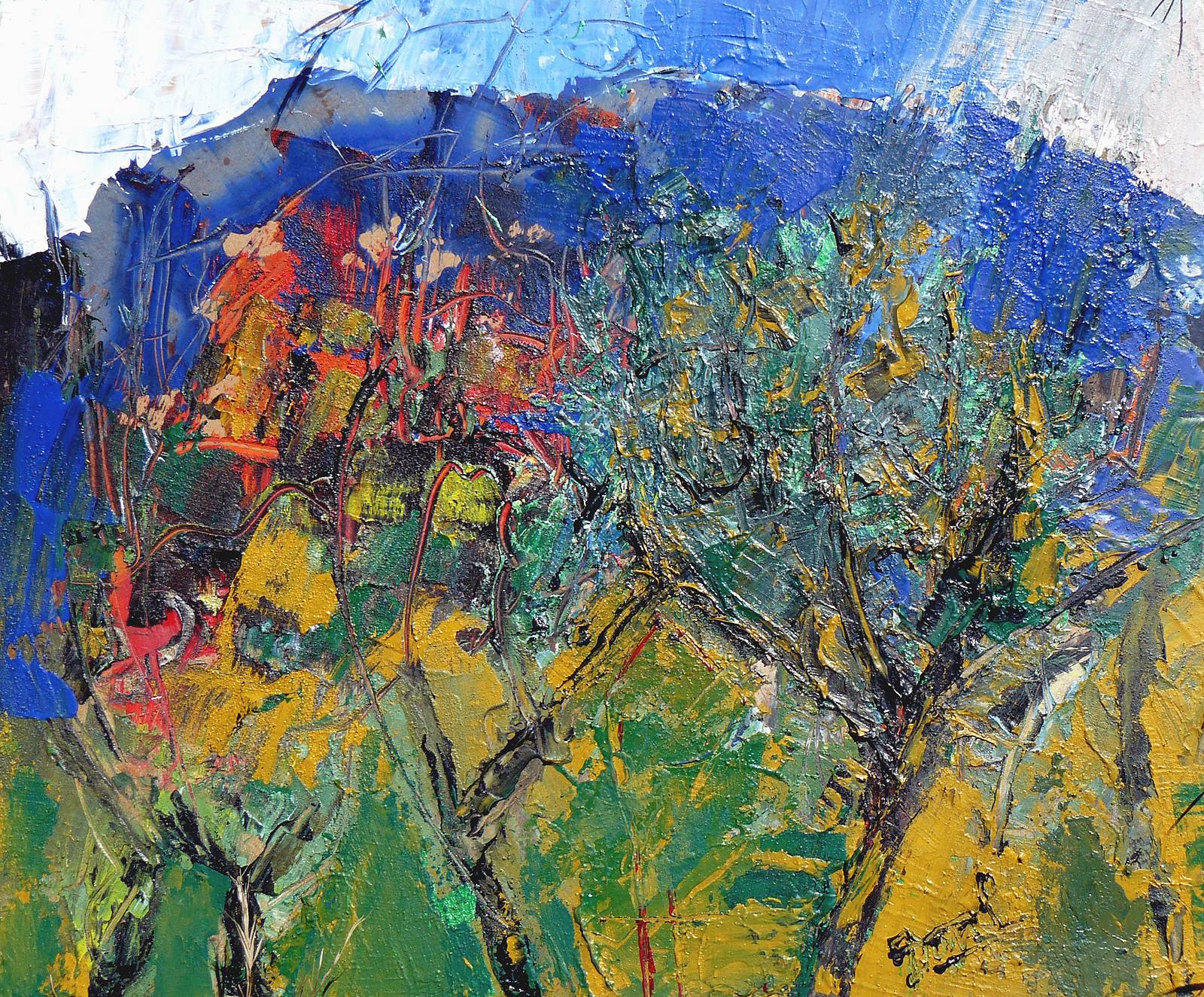 Soleil sur un verger de Provence. Jacques Donneaud Jacques Donneaud