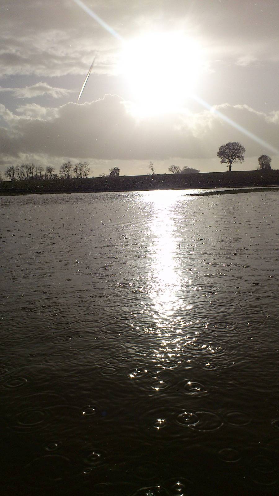 Innondation dans le bas de notre champ, s'était en décembre 2012. 