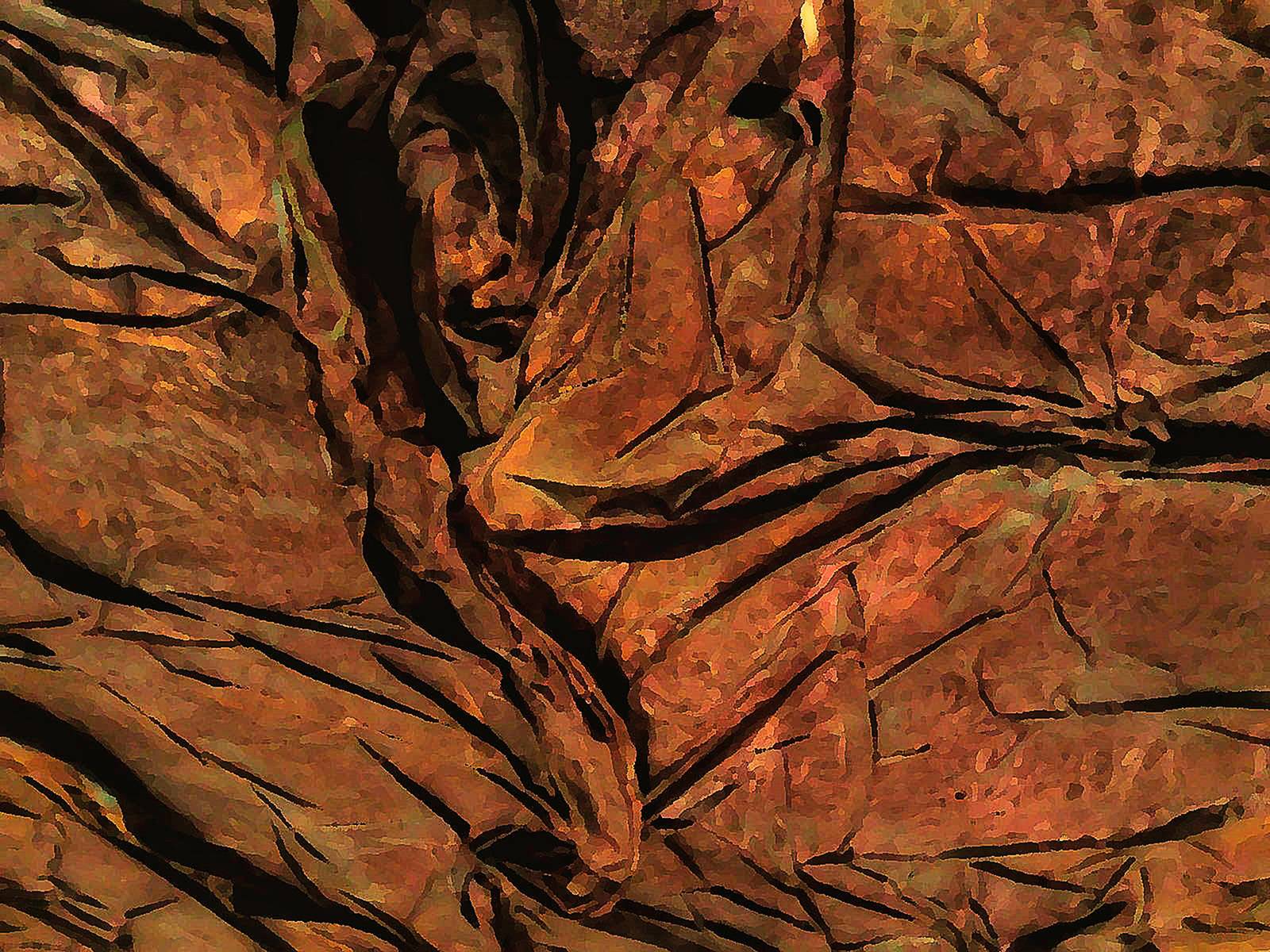 Digigraphie.  Thérèse Croisetu