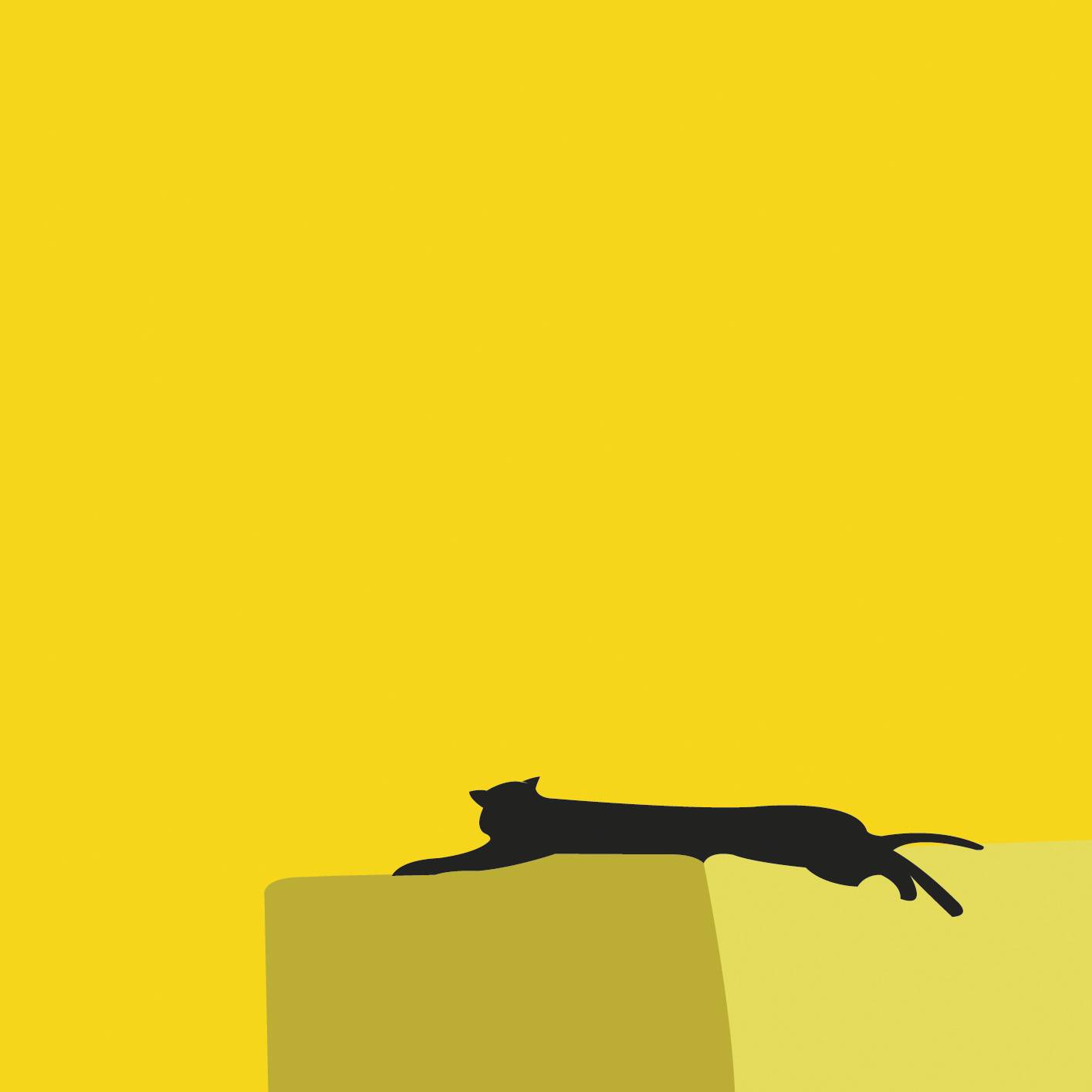 Chat chaud. Pat2Fer