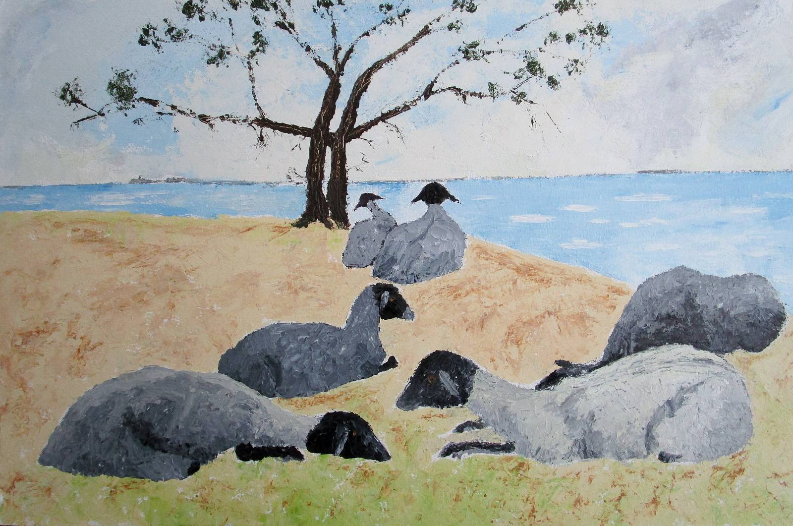 Ruhende Schafe (Bild 577) Dornbusch Göhren. 