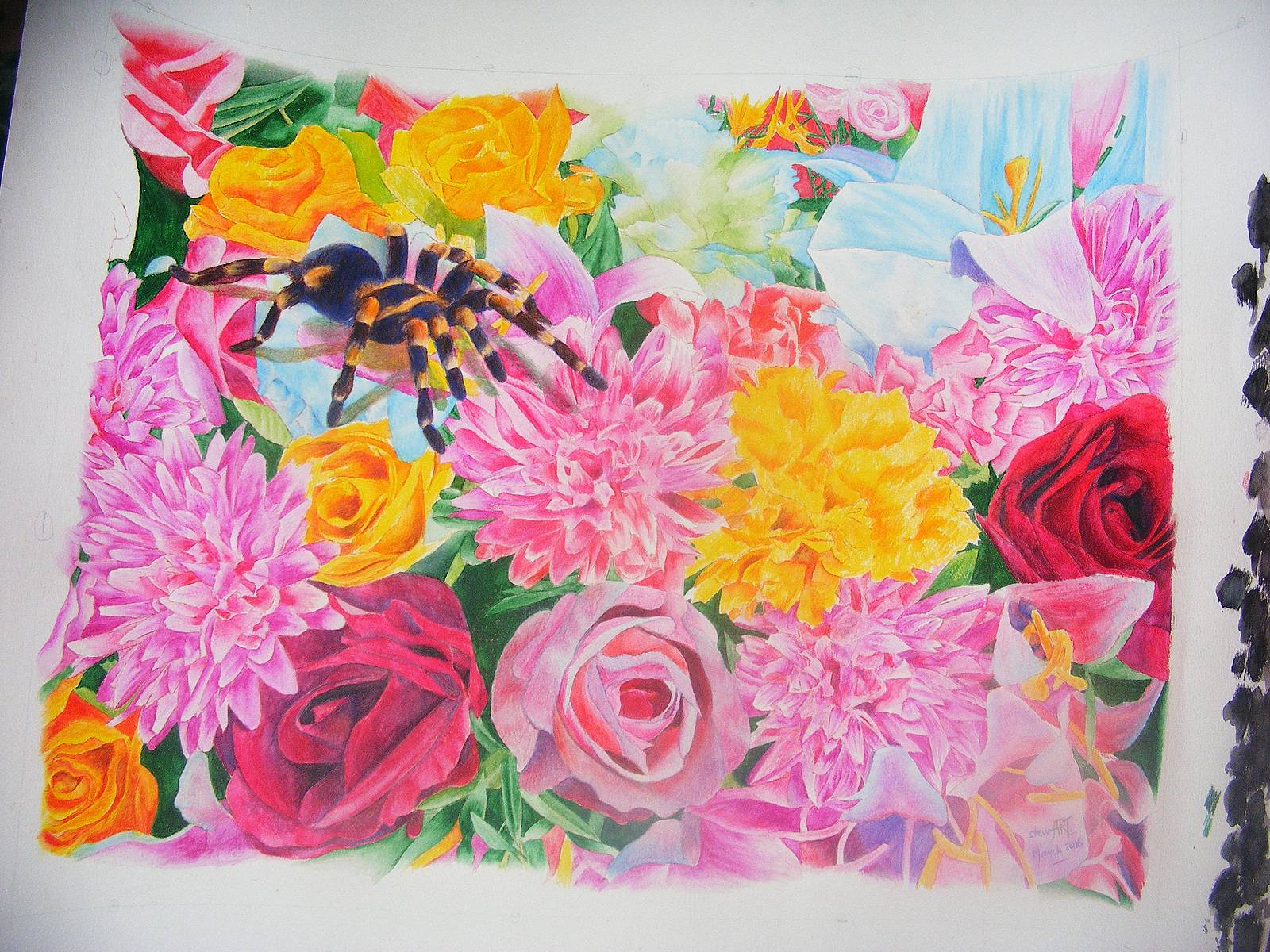 Flowers and spider. Stewart Stewart