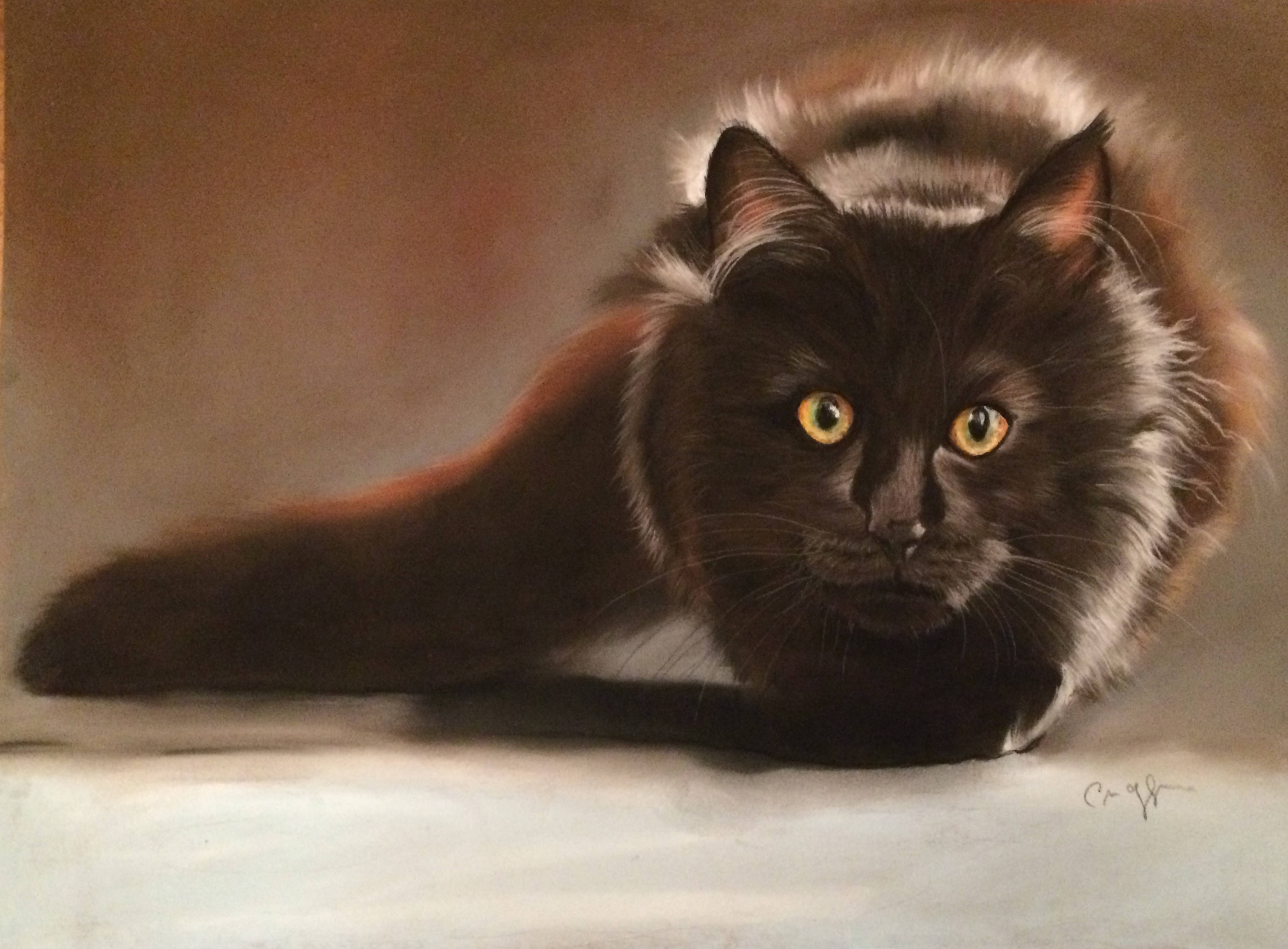 Le chat chocolat, Zelmi Fine Art