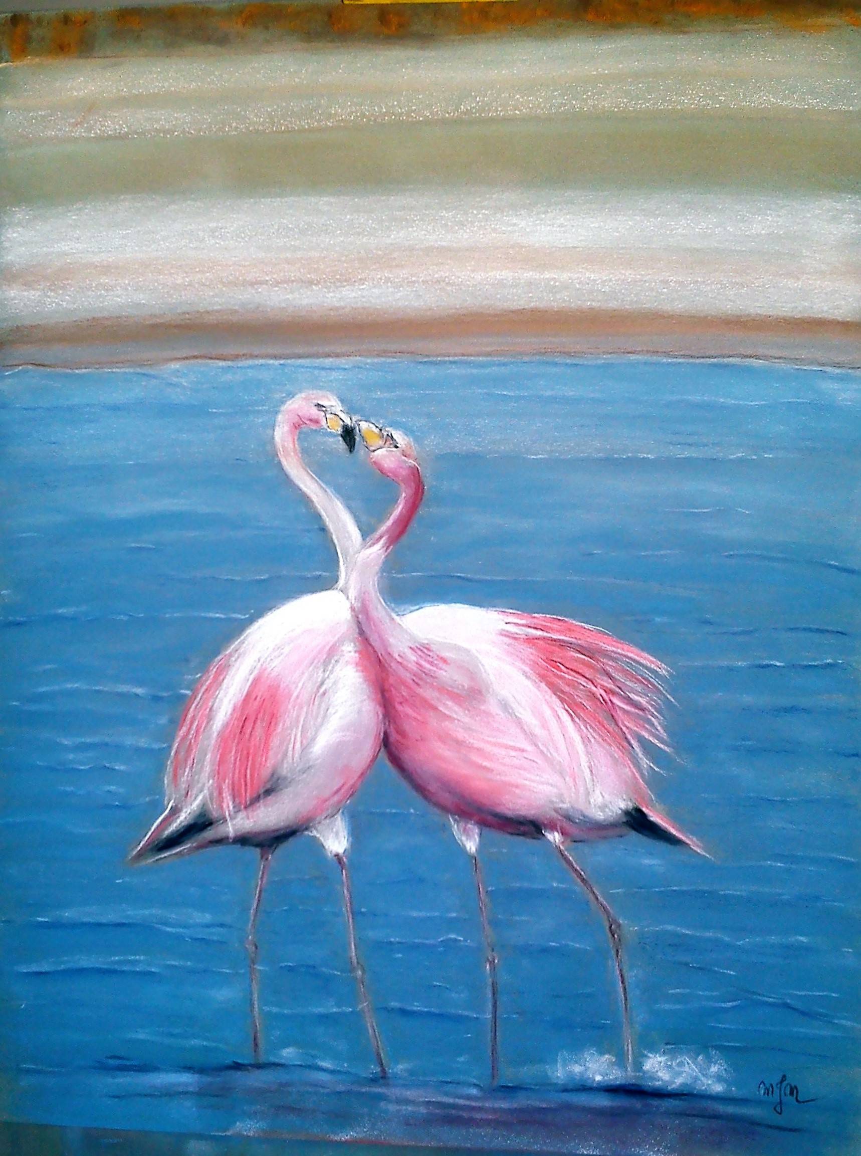 Les flamants amoureux. M-J M