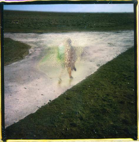 Laure après l'orage. Helgorsky Francis