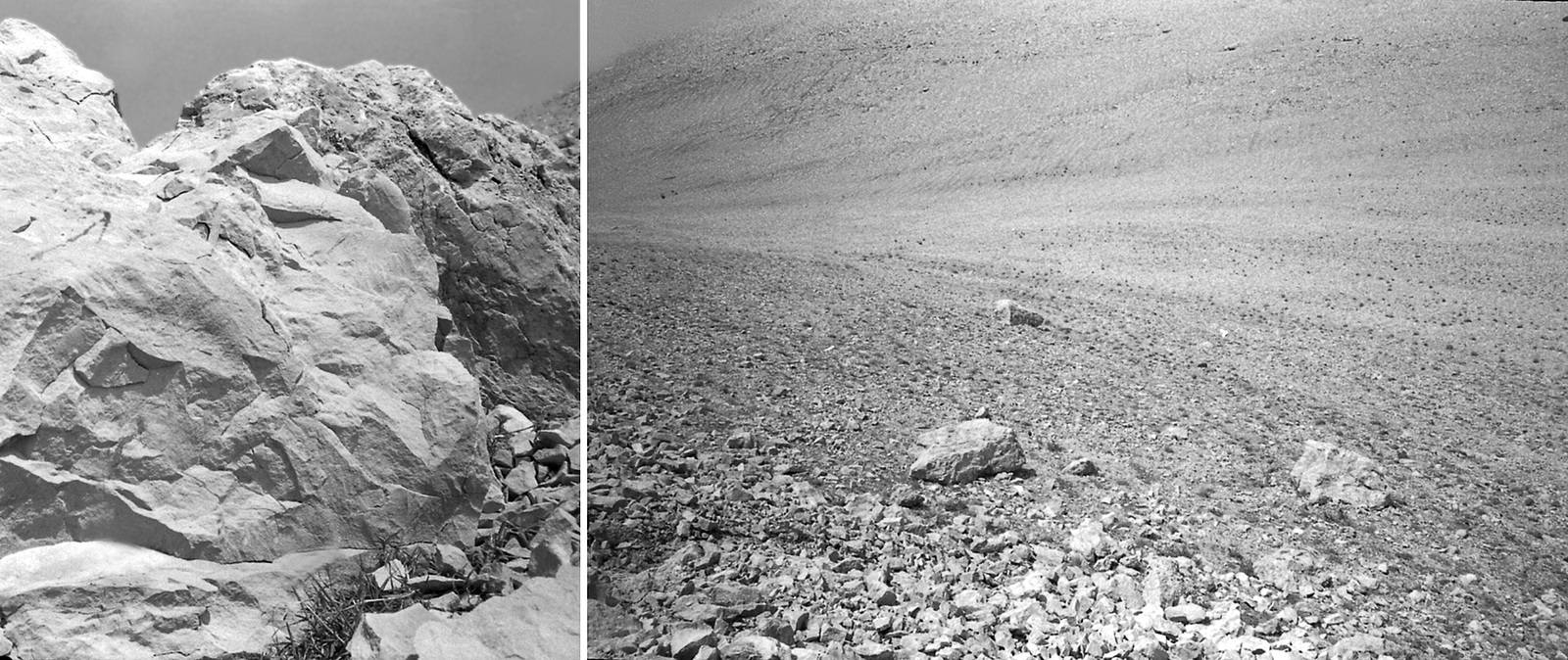 La flèche noire. Helgorsky Francis