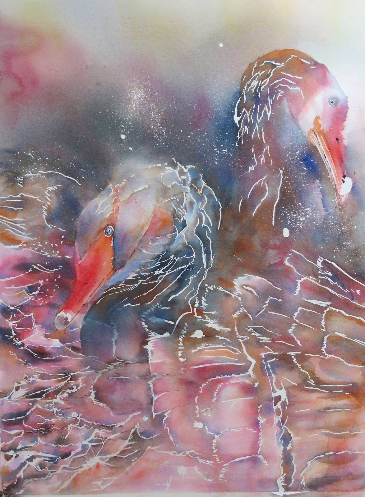 Cygne noir 1. Brigitte Boulic-Wanneau-Bwb-Briwa