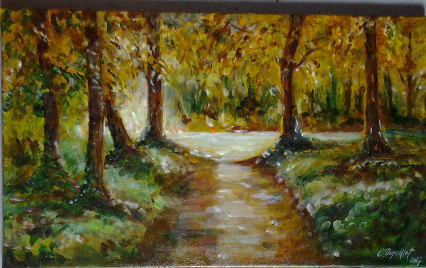 Lumière des sous bois. 