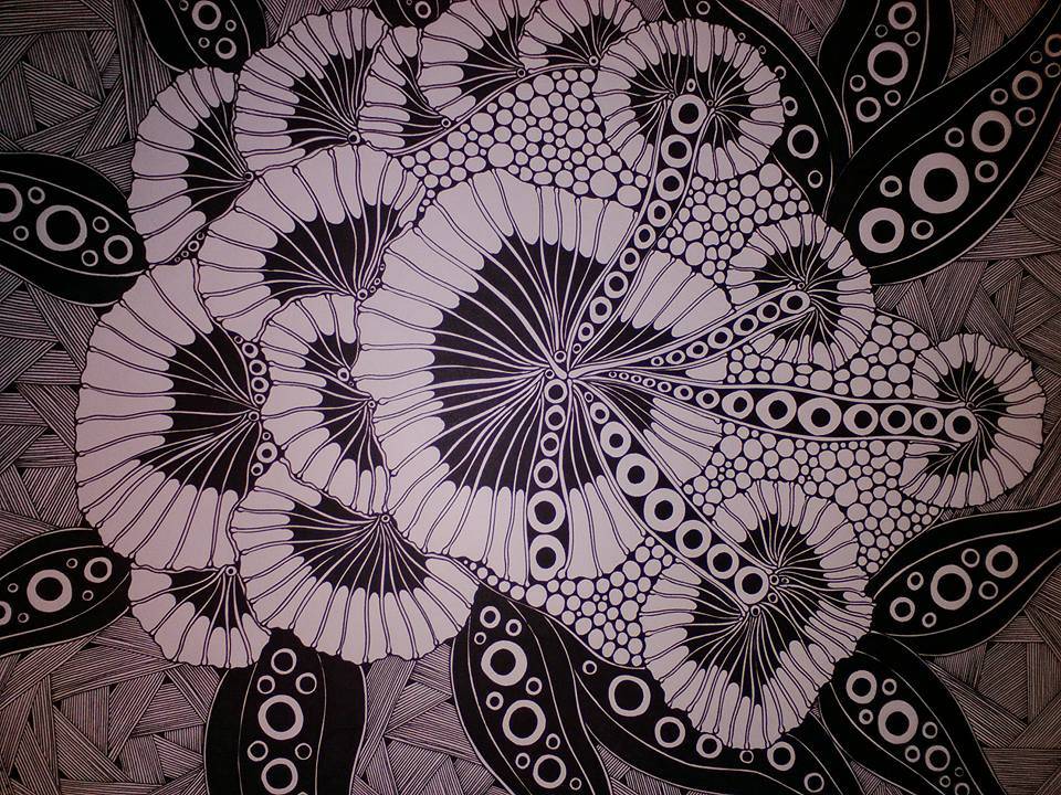 Floraison hivernale. 