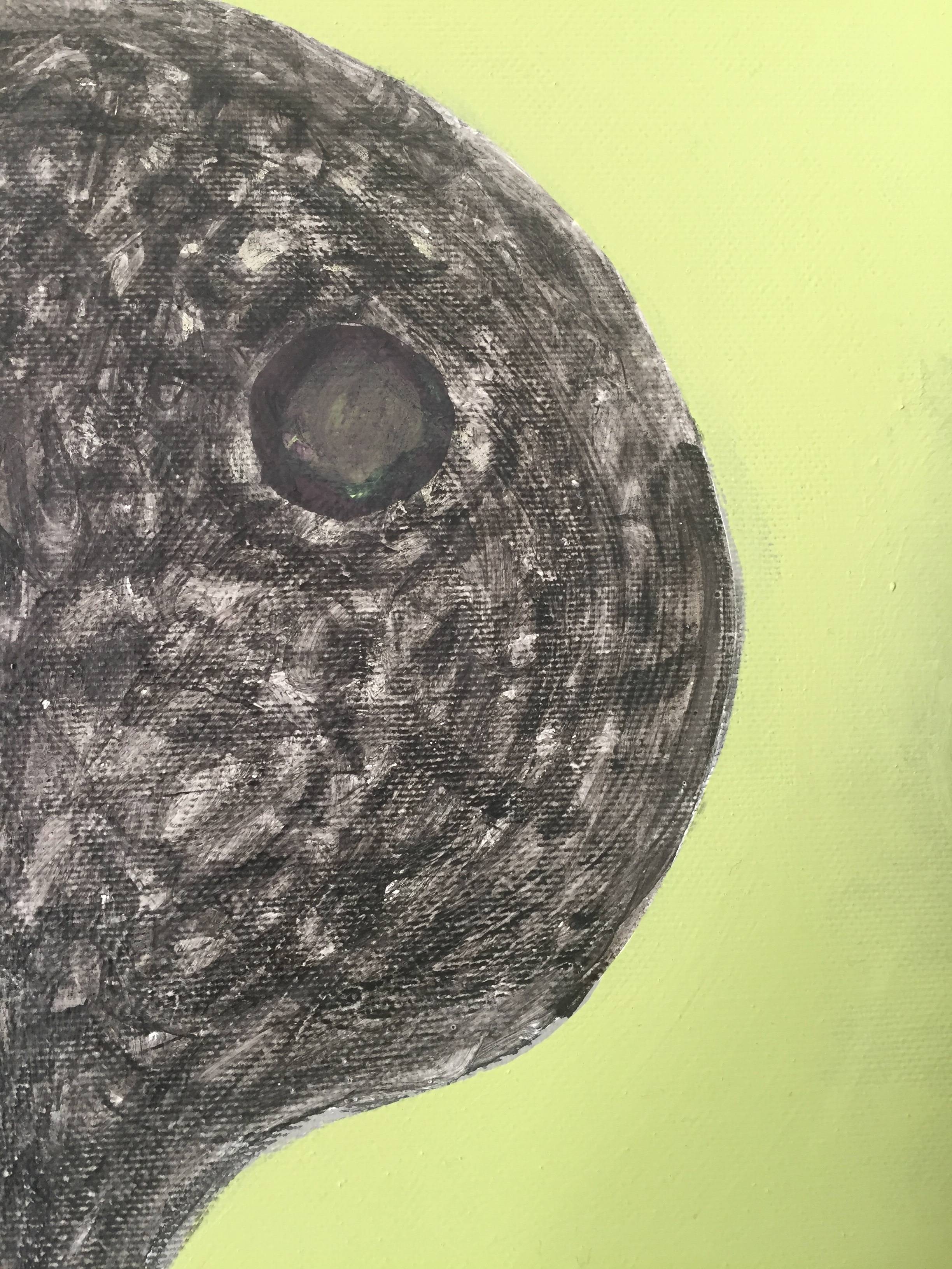 Pleinitude 56.7. Mathieu Seigneur