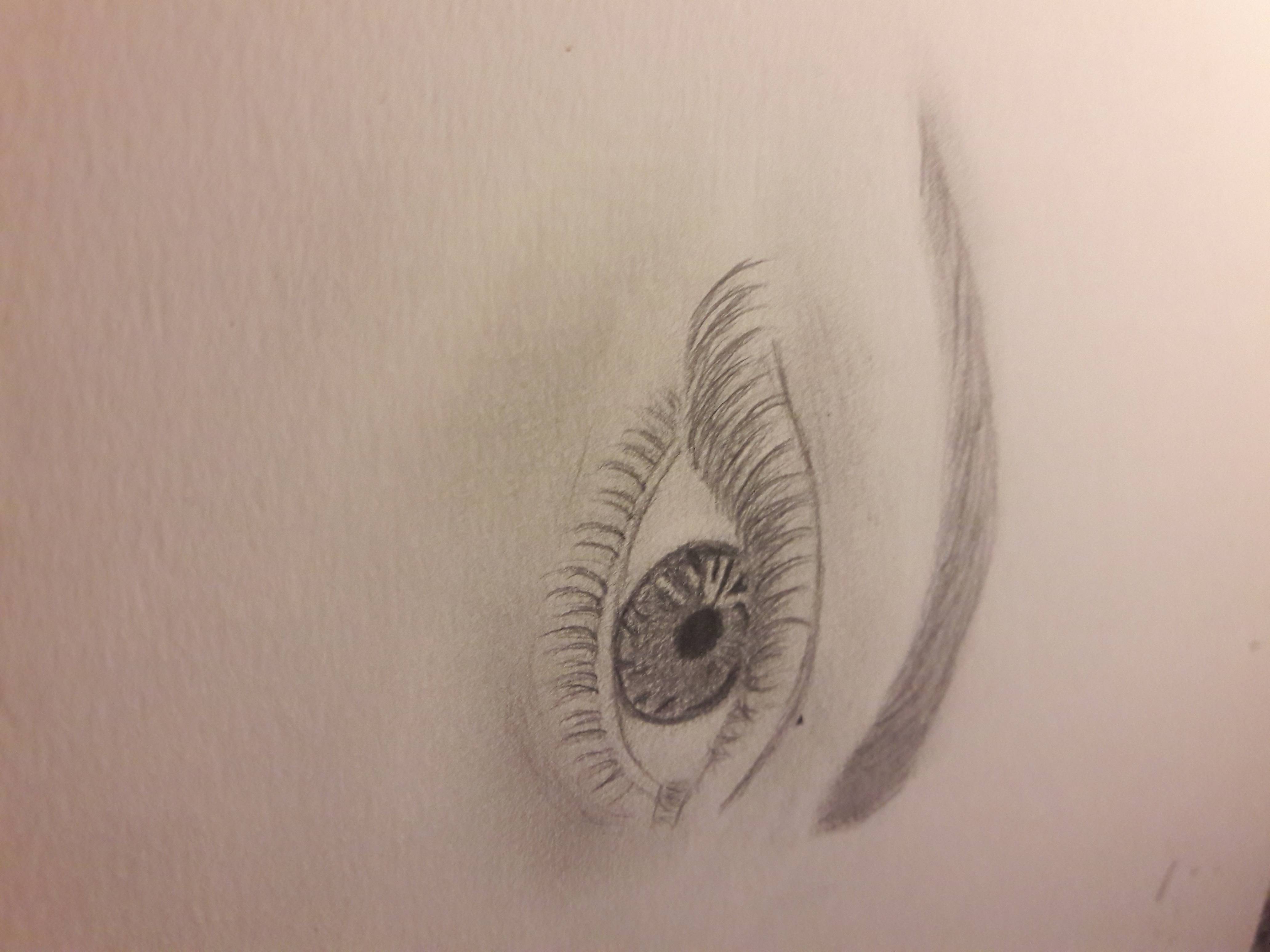 Dessin debutant.  Coralie Simon