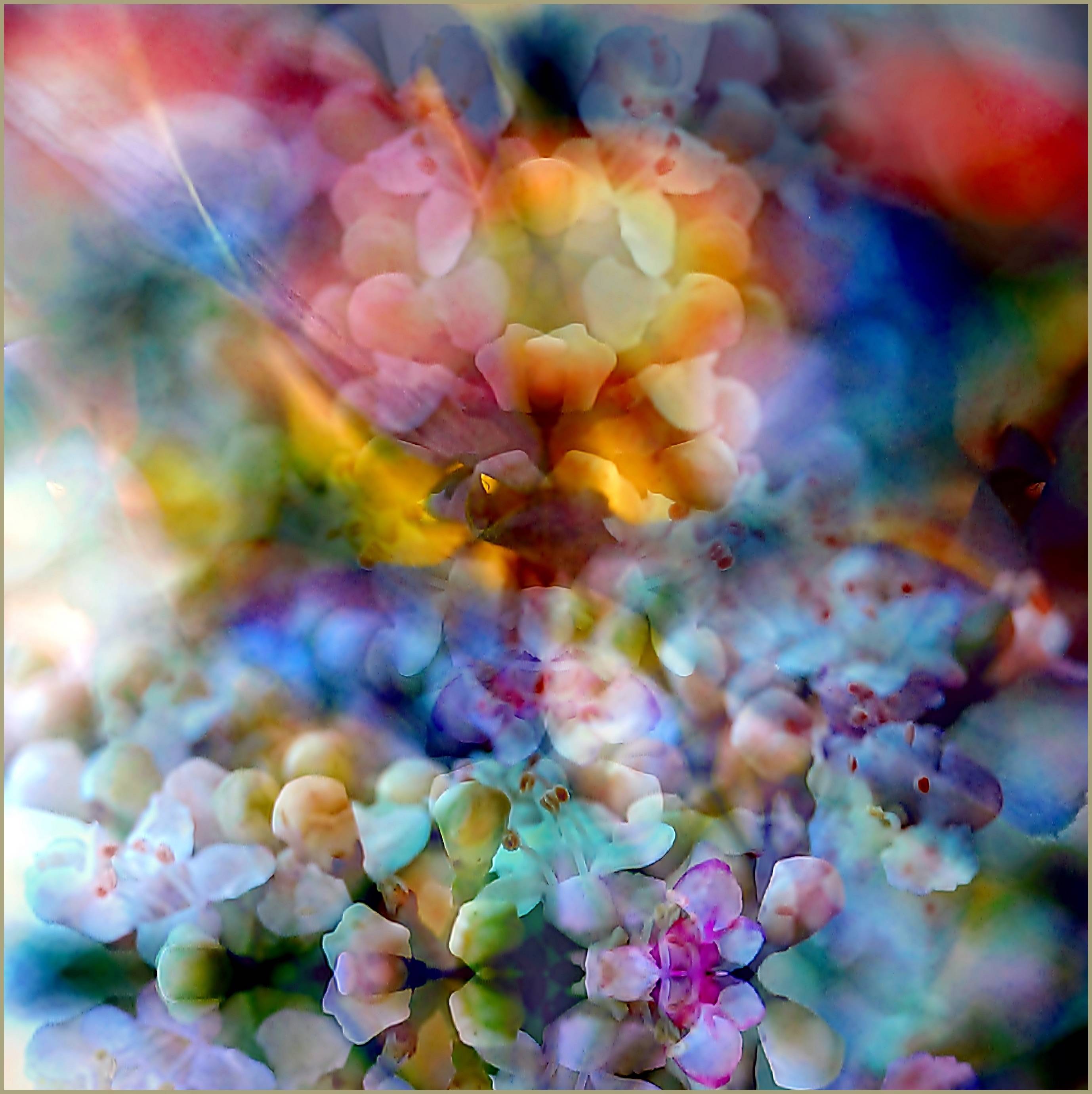 Cou! Eurs du printemps a. 