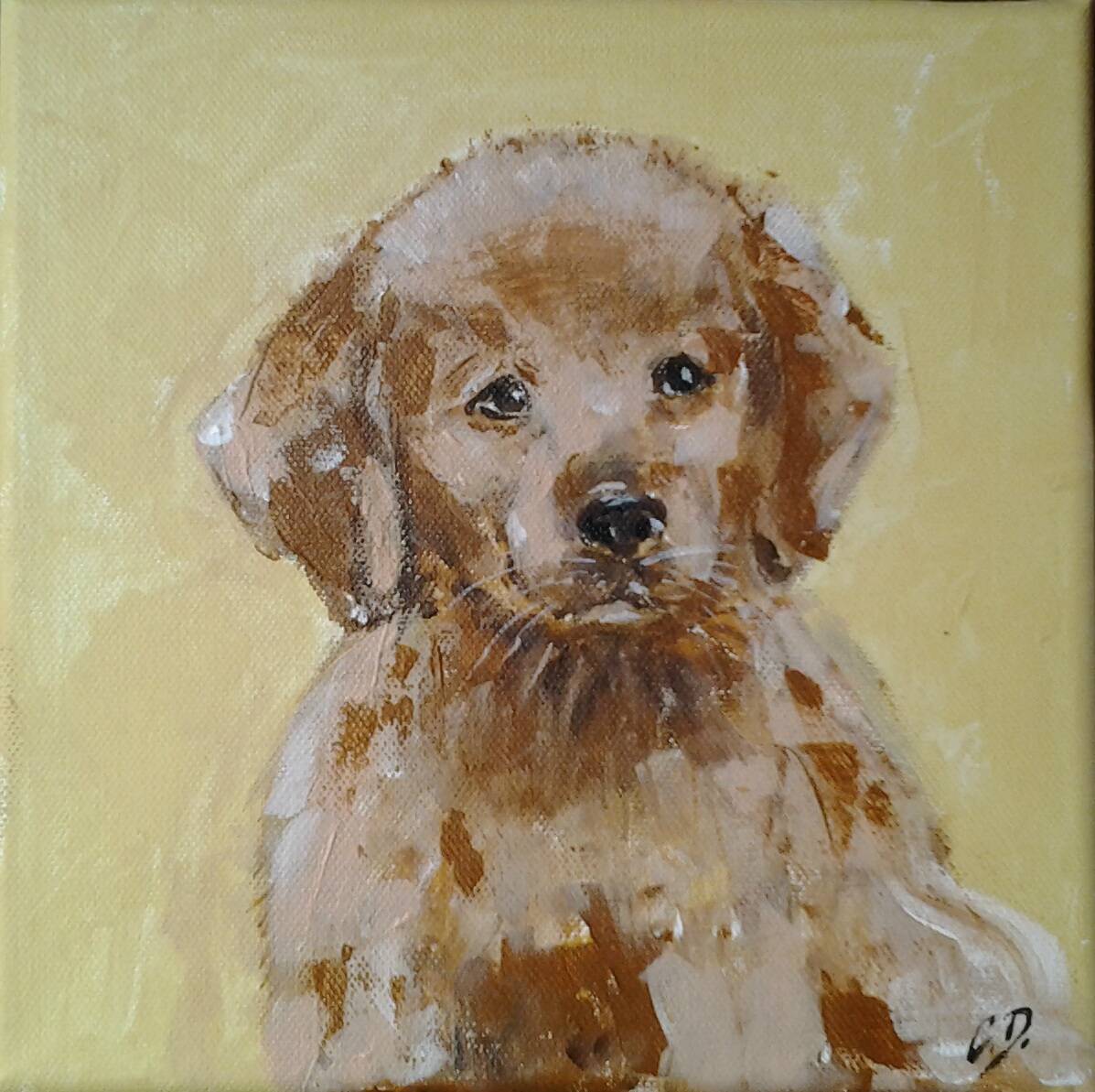 Chiot. 