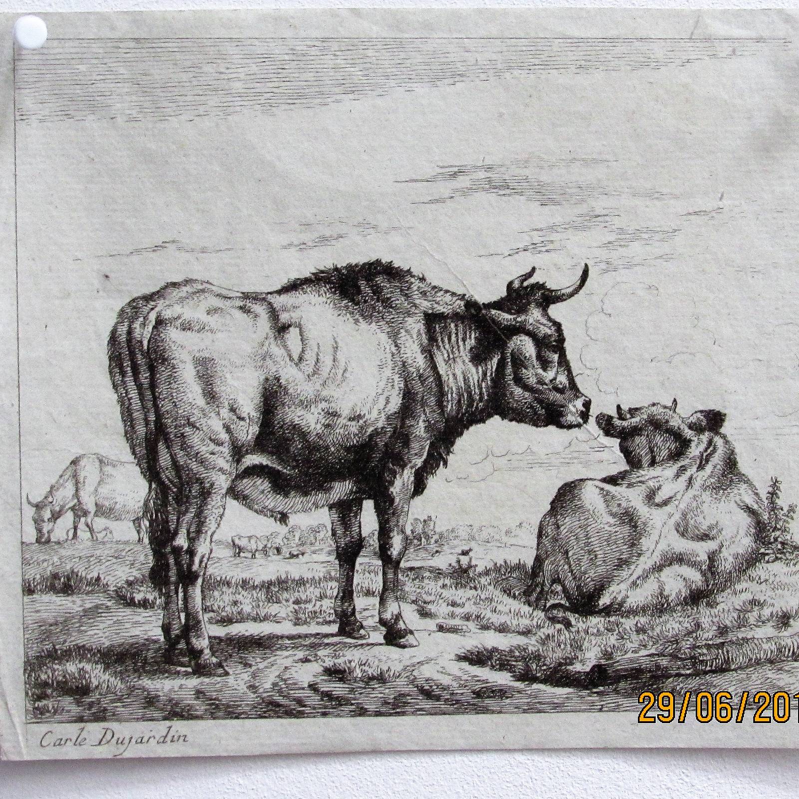 Karel Dujardin : vaches. Historien d'art, Archéologue; Chercheur Free-Lance (Er)