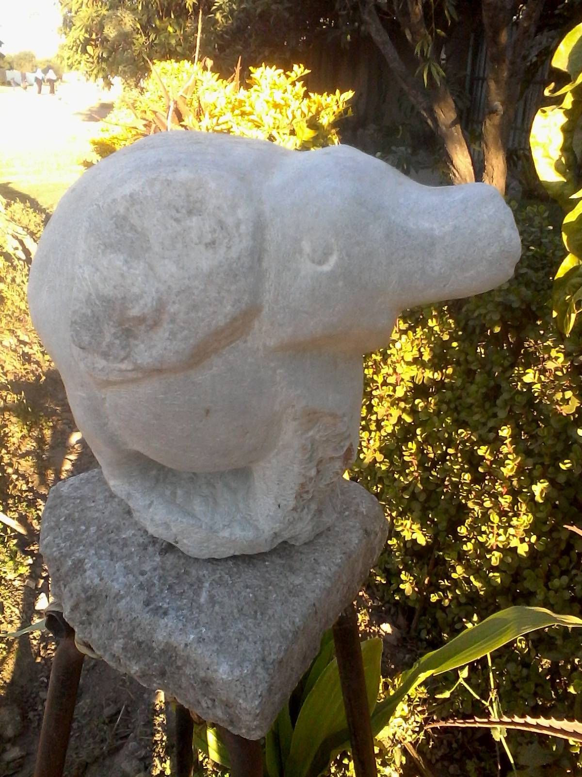Elephant dominace. Teruma Glt Mxdmdium Artist Teruma Glt