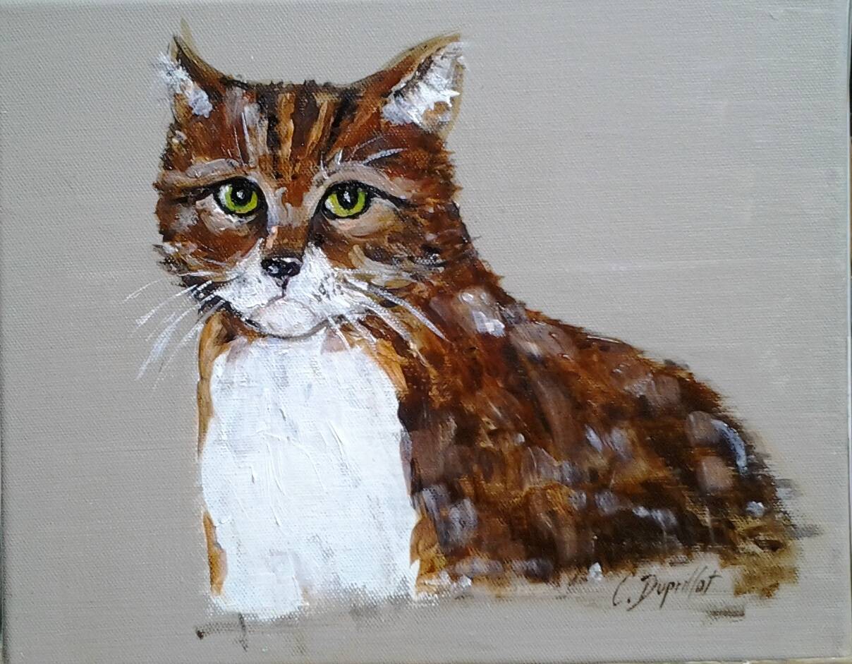 Chat tigré. 